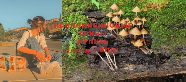 герыч Алексин